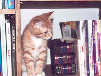 Jeter in the bookcase