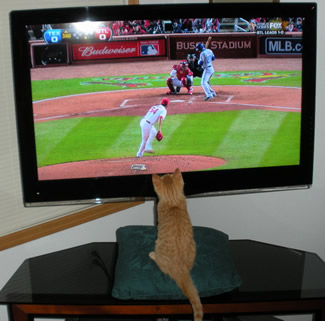 Mickey watching the World Series